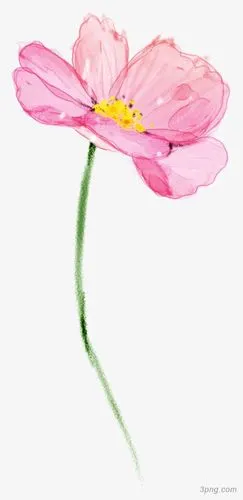 手绘卡通粉色小清新花朵