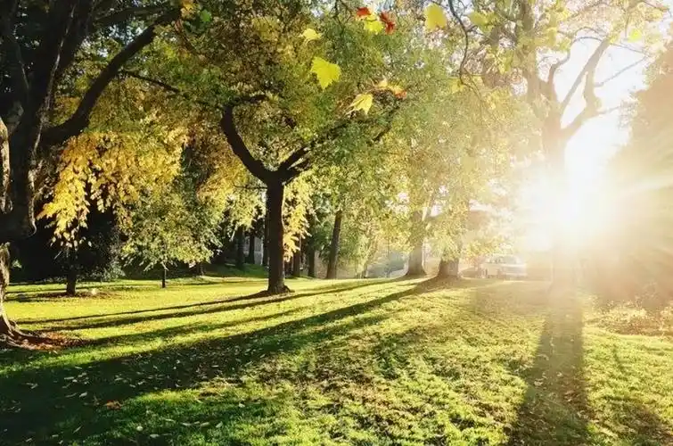 惬意生活唯美散文名篇