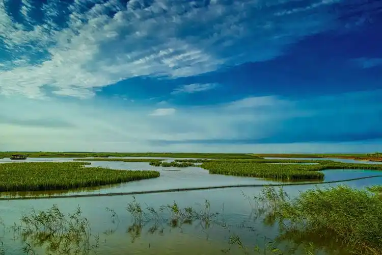 七里海湿地风光