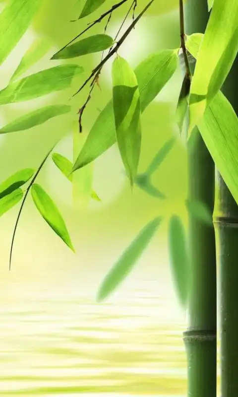 淡雅的翠竹手机壁纸