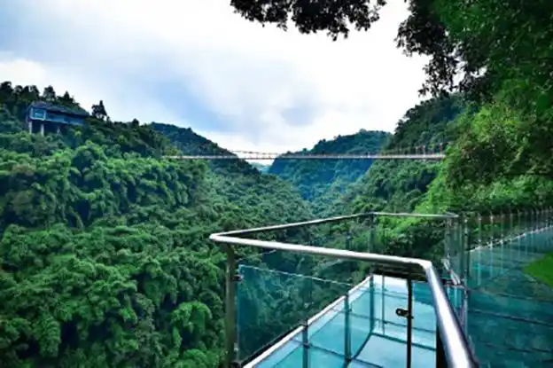 【金鸡谷 平乐古镇】游川西竹海,挑战百米高空玻璃栈道