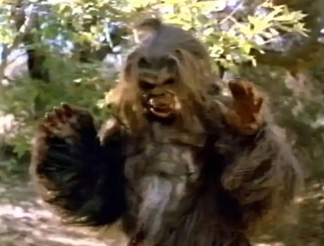 一群在森林度假的青年男女突然遭到长毛野人的袭击,其中几个人被其