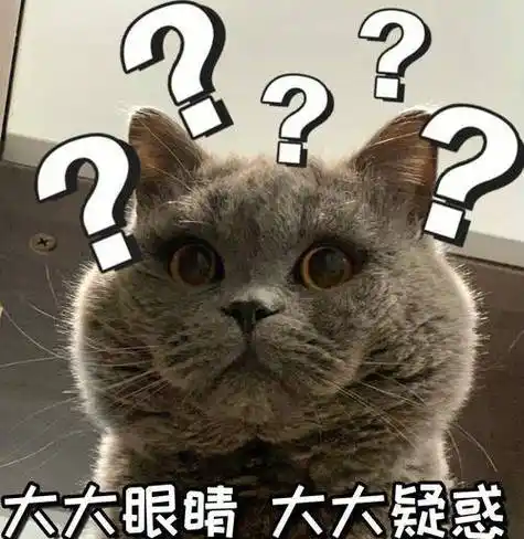 最近很火的萌猫表情包-网上很火的猫表情包-动漫猫表情包大全分享