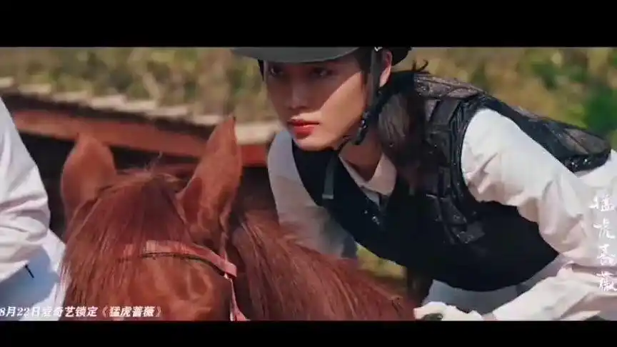 《猛虎蔷薇》正在热播中 爱奇艺独播