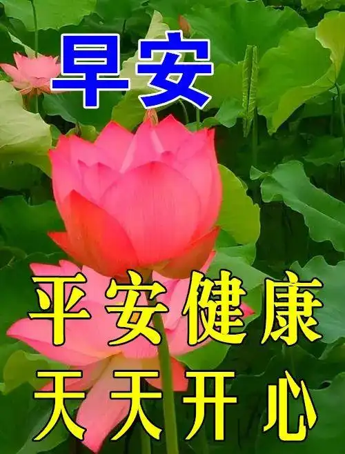 早上好祝福图片早上好问候句子