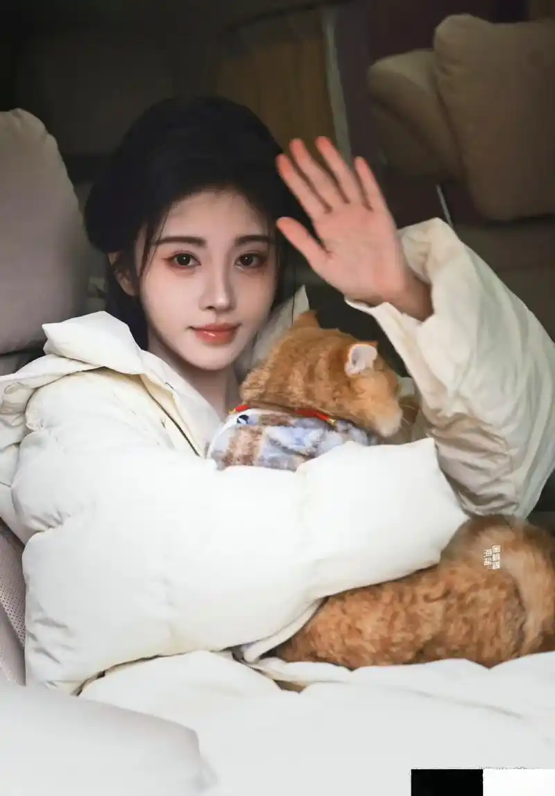 想做鞠婧祎怀里的猫