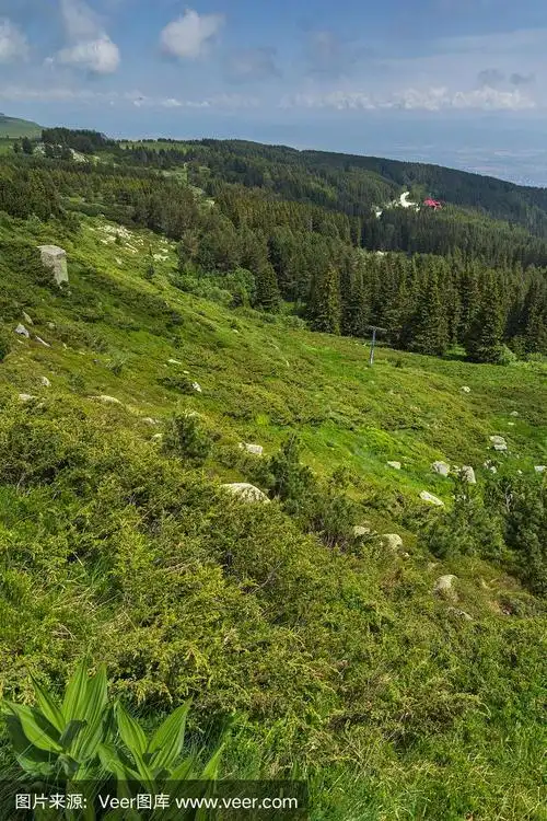 保加利亚索非亚市地区维托沙山的绿色山丘景观