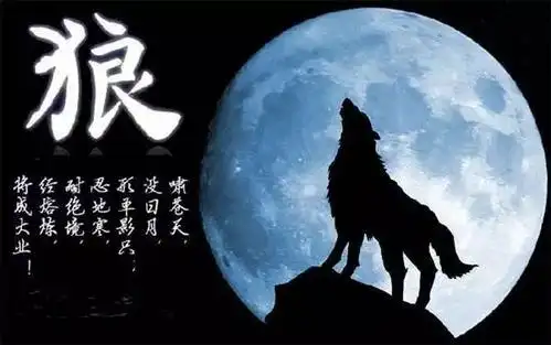 狼性,目标一直瞄准太阳,用彪悍屡屡刷新纪录.