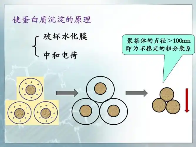 实验二,蛋白质沉淀,变性反应