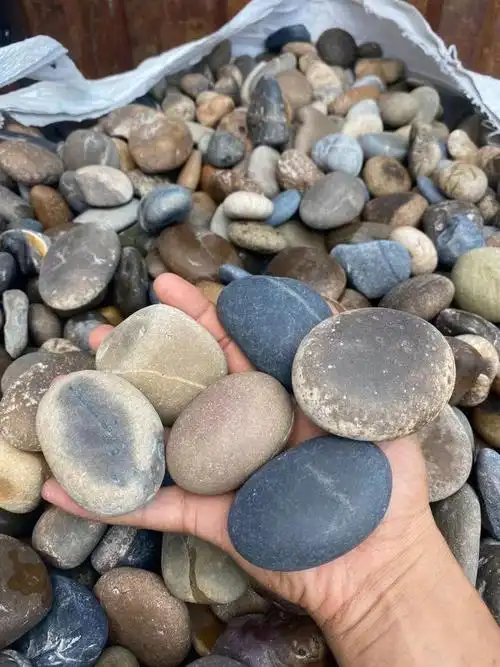 鹅卵石增加空间变化,广东各种不同的鹅卵石种类|花坛|造景_网易订阅