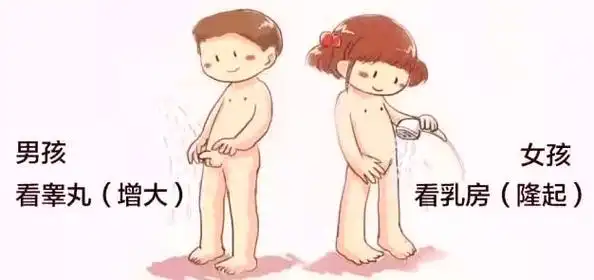男孩子是先看睾丸大小,如果发现睾丸变大了,就要谨慎了.