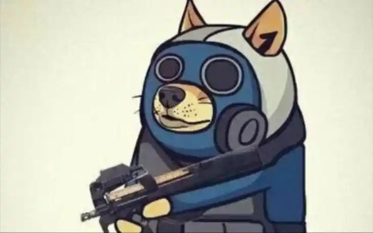 来康康悍匪小蜜蜂