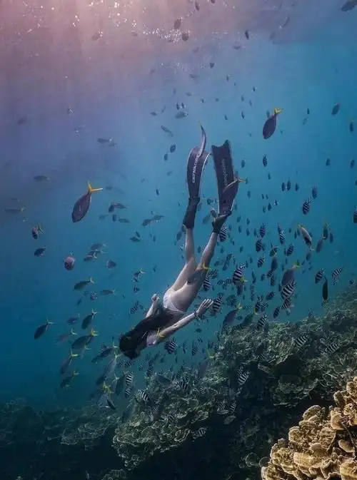 scubatrek潜水服丨自由潜水耳压平衡