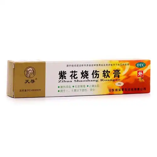 天尊紫花烧伤软膏紫花烧伤膏40g1支盒烧伤烫伤