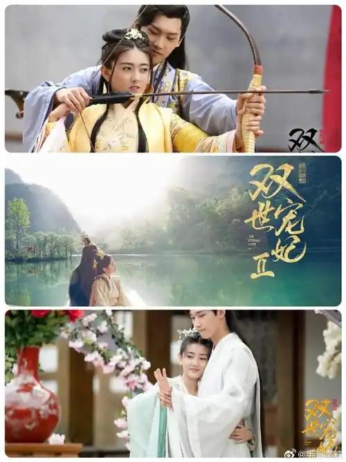 3《双世宠妃1/2/3》梁洁&邢昭林    4《不说谎的恋人》梁洁&辛云