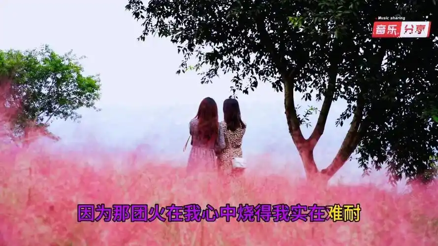 田震《野花》乐坛天后的歌声,永远的经典,送给喜欢的您!