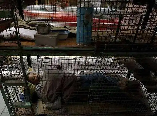 笼民困在笼中也只是为了生活