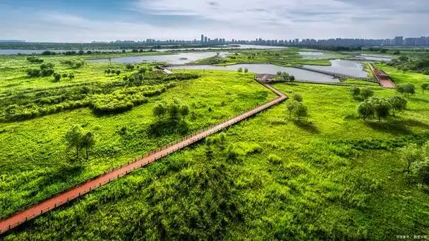 今天我要和大家分享的是天津海边的旅游景点,天津靠海的区是滨海新区.