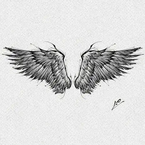 翅膀纹身手稿分享