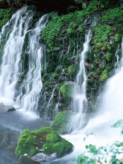 点击进入罗静图书馆