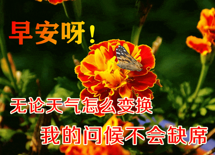 的一天就要来,钟儿响,铃儿闹,快快起床去报到,祝开心快乐每一天,早安!
