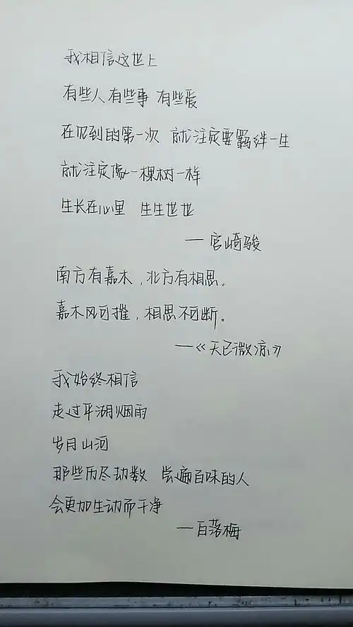 奶酪字体