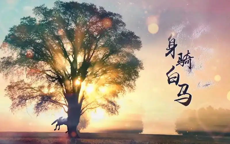 歌曲身骑白马led演出大屏视频背景
