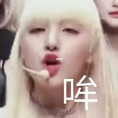 分享一波表情包