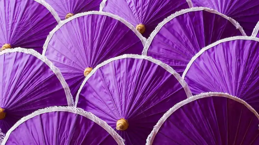 许多紫色的雨伞壁纸
