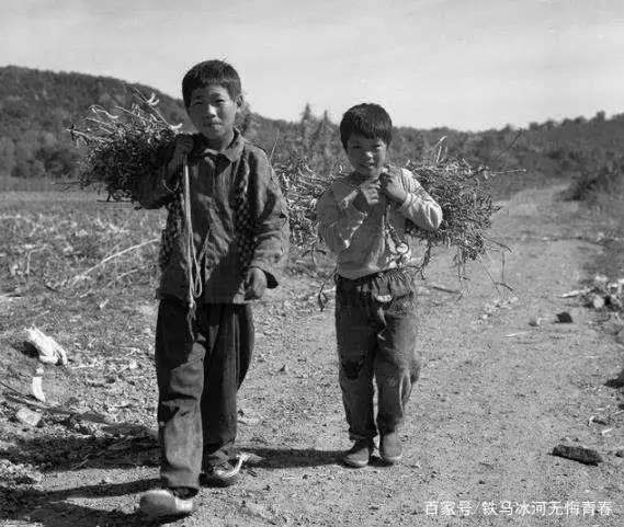 童年的农村大概是这样