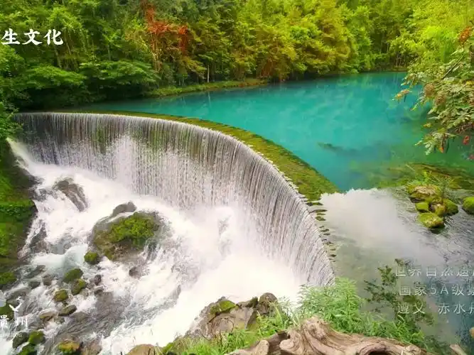 贵州秀丽古朴,风景如画,是世界上岩溶地貌发育最典型的地区