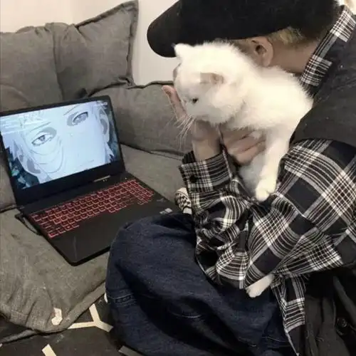 有没有男生抱着猫的头像呀