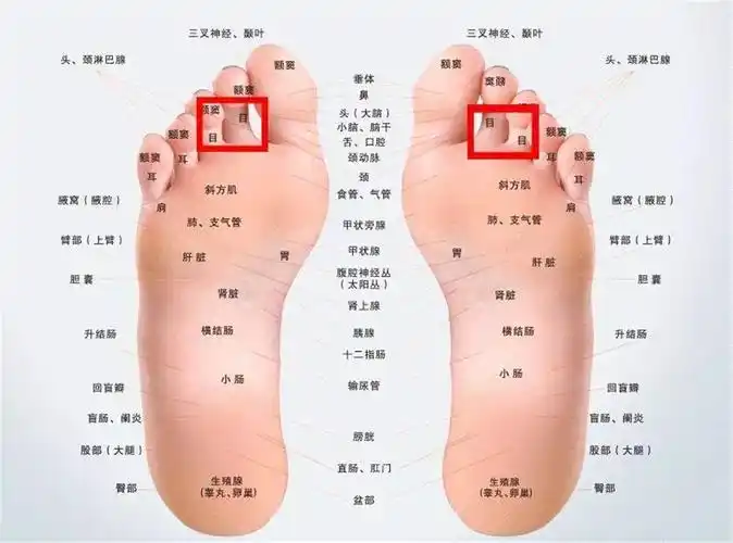 艾灸是火跟木的相生艾灸理疗防病保健养生美容