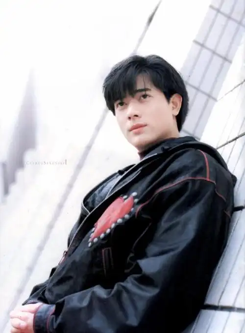 四大天王郭富城年轻时的颜值(舔屏时间一代天王)23