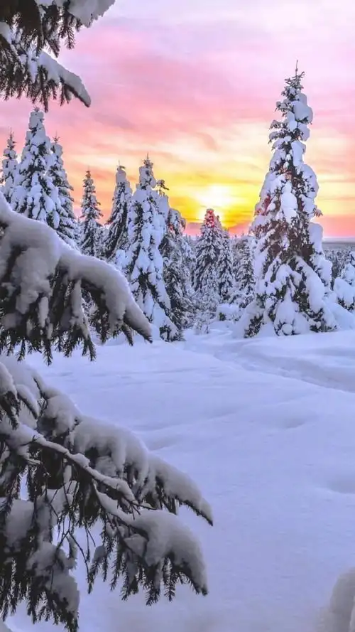 唯美清新冬季雪景风光