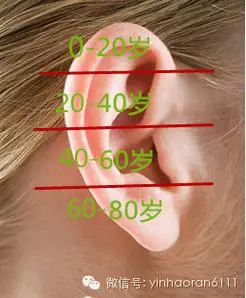 从耳朵可以看出你的福气