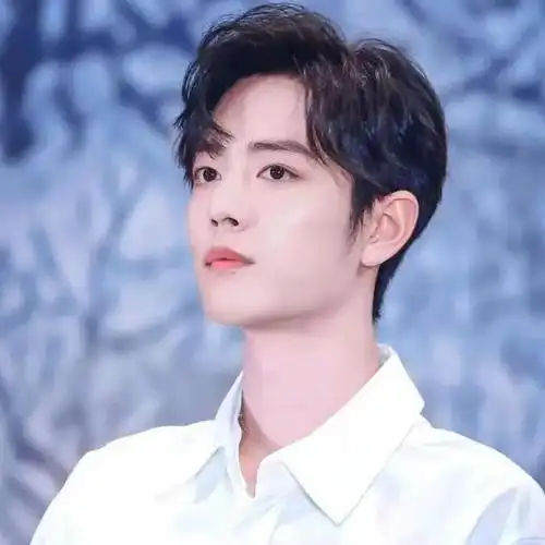 超好看的肖战头像(2022肖战头像)-天晟网