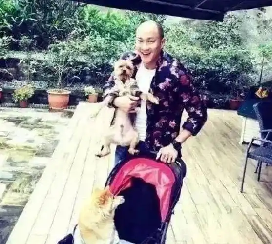 何润东_赵文卓_聂风