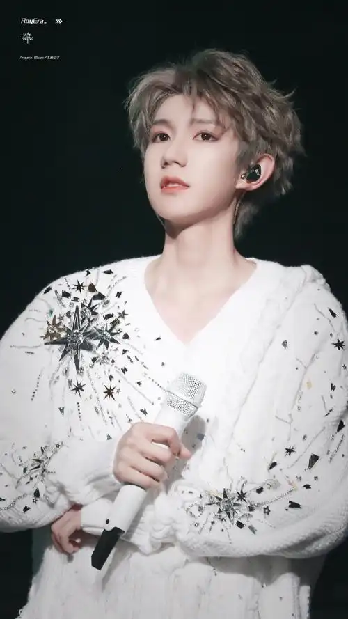 第二天突破个人记录达到260w人次 演唱会热度bang第一 527w77  王源