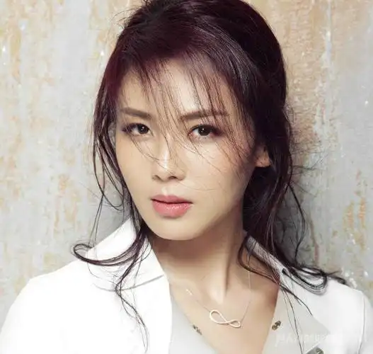 刘涛为什么叫国民媳妇,tamia,韬姬