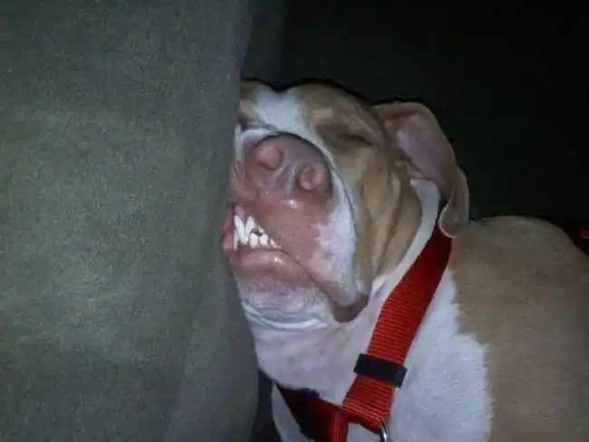 爆笑 ( 1 /15) 发布时间:2012-06-06 10:56支持方向键←和→浏览 查看