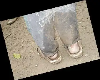 教师网上发学生雪天赤脚照募捐 感动社会