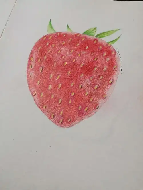彩铅画临摹——草莓|纯艺术|绘画|空白321 - 临摹作品 - 站酷 (zcool)