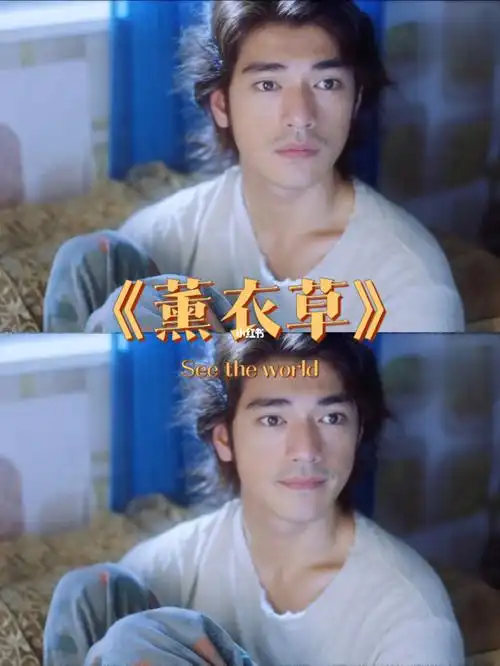 90《薰衣草》主演:金城武陈慧琳陈奕迅故事梗概:暴风雨之夜,天使