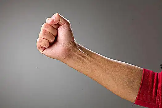 一只手图片-一只手图片大全-一只手图片下载-全景网