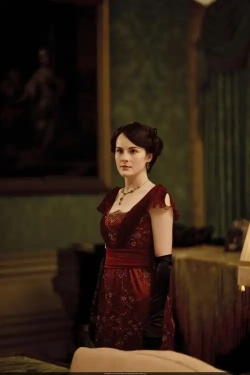 《唐顿庄园》大小姐玛丽服饰—— 酒红色绣花晚礼服.