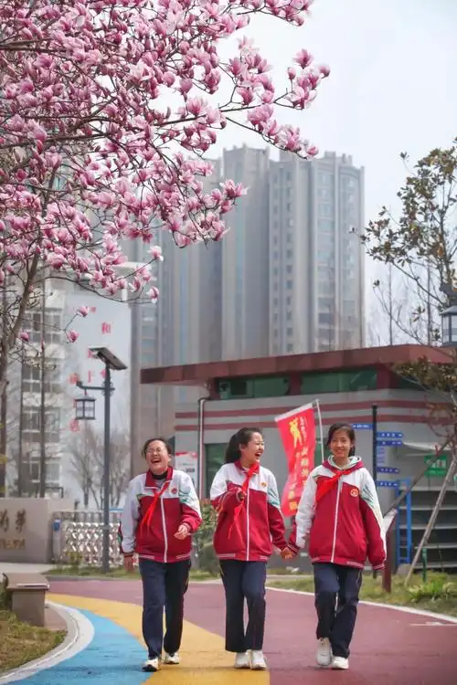 县汪湖镇中心小学安东卫实验小学市直机关幼儿园丁肇中实验中学汉中路