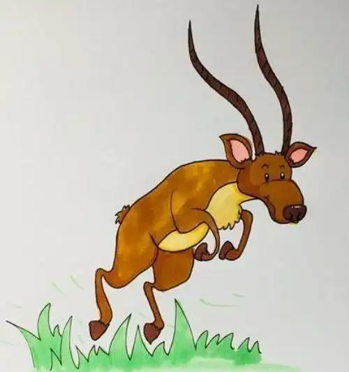 可爱彩色羚羊简笔画步骤 卡通羚羊简笔画怎么画