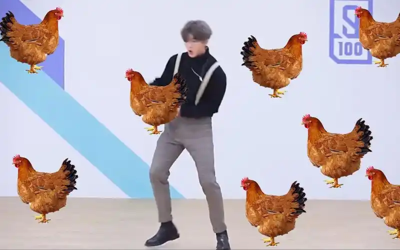 鸡你太美,蔡徐坤就打个鸡