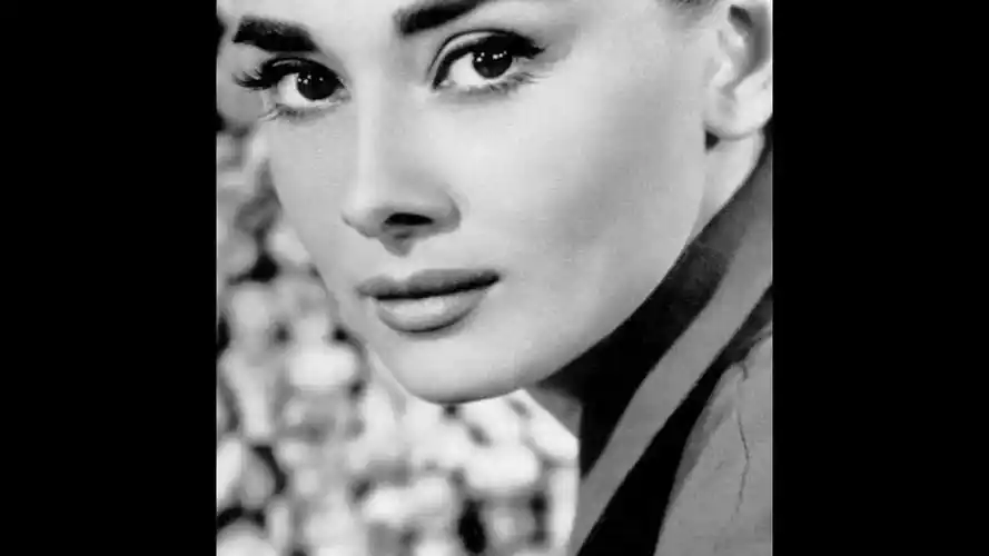 人间天使奥黛丽赫本照片200张